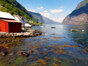 Undredal is situated on an arm of Sognefjorden.