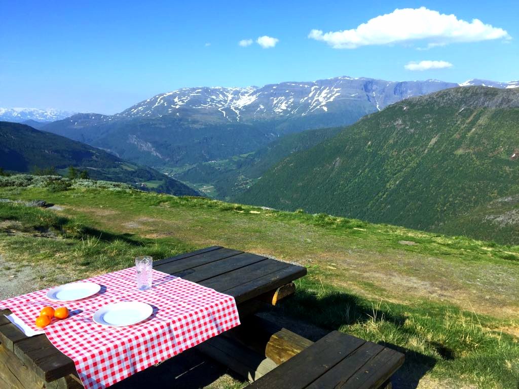 Sognefjord picnic