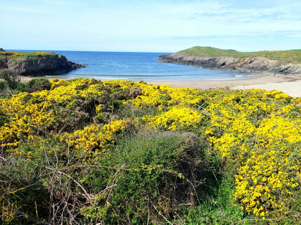 Anglesey cove