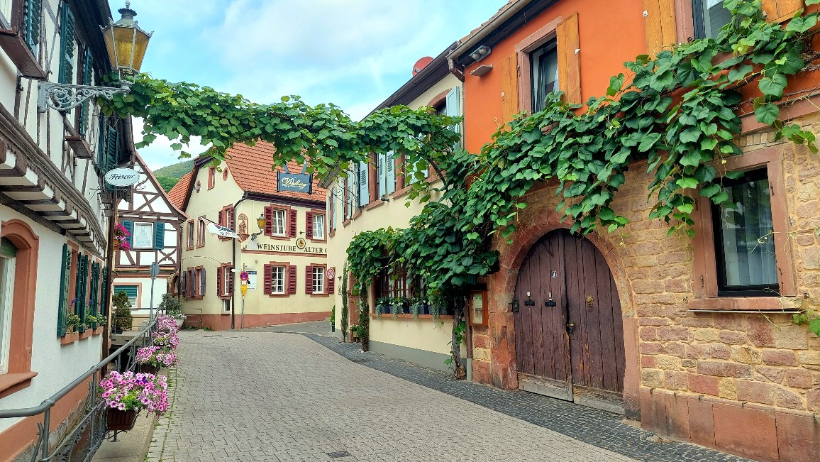 Germany's wine road