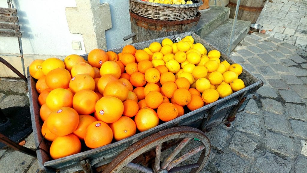 Oranges at Ars en Ré